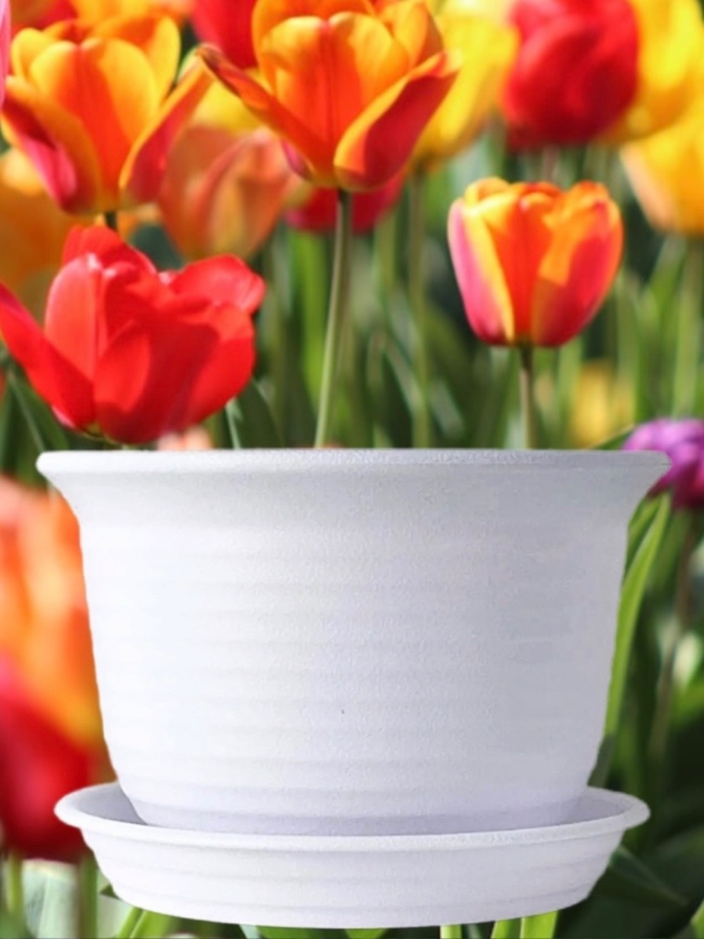 6” White Round Plastic Plant Pot Saucer Drainage Tray – Indoor & Outdoor Planter